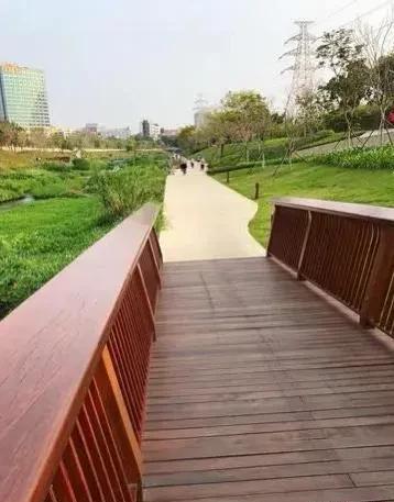 深圳市|深圳游记之十七～大沙河公园