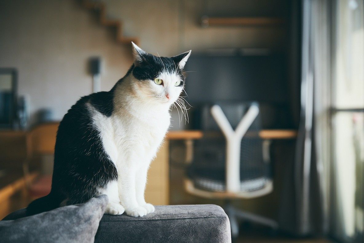 日本情侣的60㎡新居,不刷墙不吊顶,全屋毛坯风,超好看