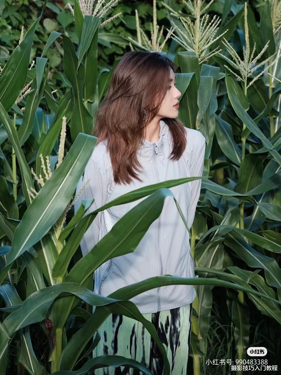 摄影技巧:玉米地怎么拍照好看?摄影博主的经验分享,太实用了