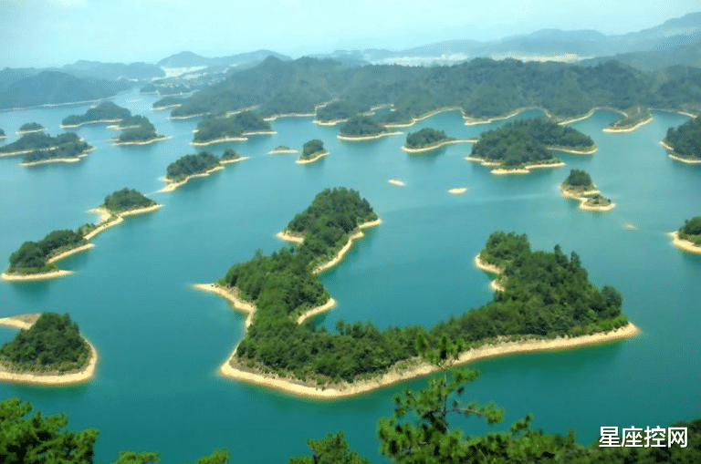 天蝎座|头脑好,人品佳,做人更有好前途的星座,什么优点都沾点边