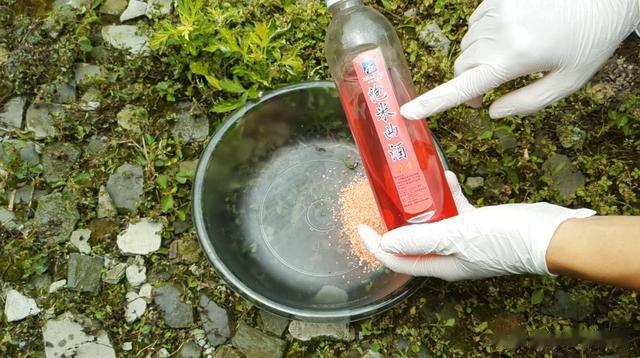 饵料|夏季野钓鲫鱼，野战蓝鲫试试这样搭配，鲫鱼最爱吃