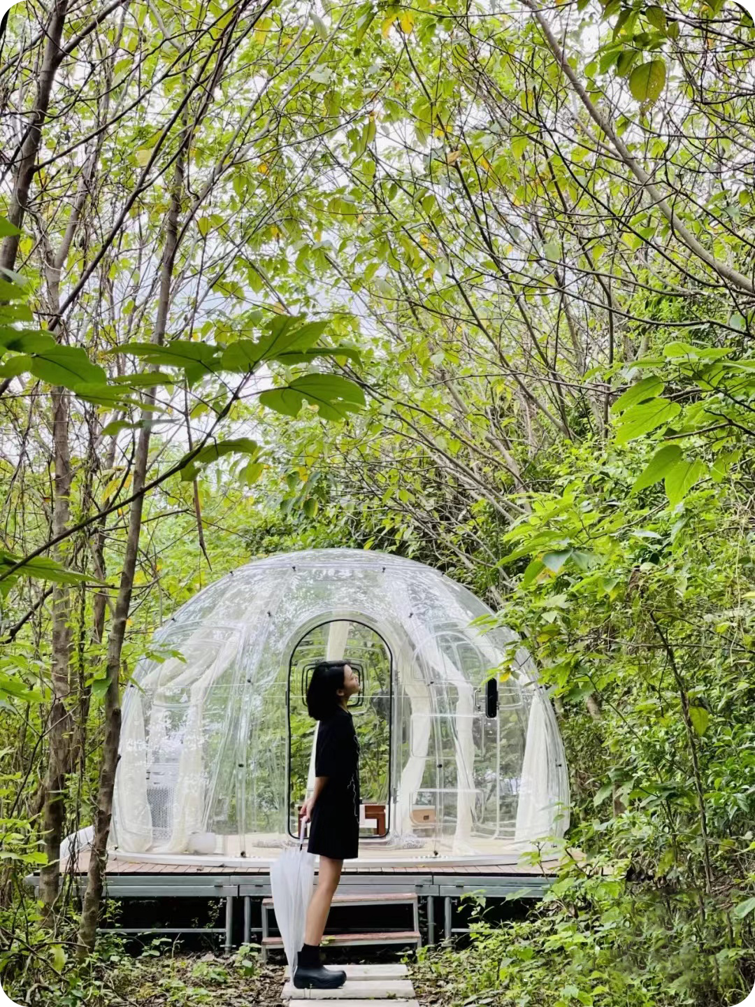 |“星空房露营风”悄然出圈，给你诗和远方……