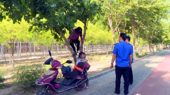 周冬雨|周冬雨公园私自摘桑葚引争议，妈妈拎塑料袋装着，恐面临罚款处罚