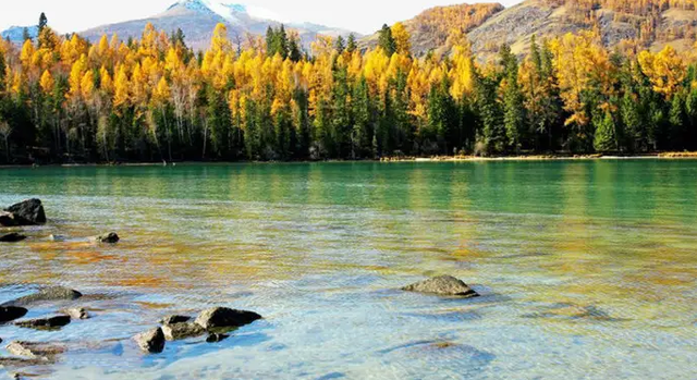 景区未对喀纳斯湖“水怪”进行调查:此有专家猜测真身系哲罗鲑鱼