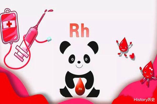 Rh-null血,人称黄金血,比熊猫血还稀有,全球总共不到50人拥有