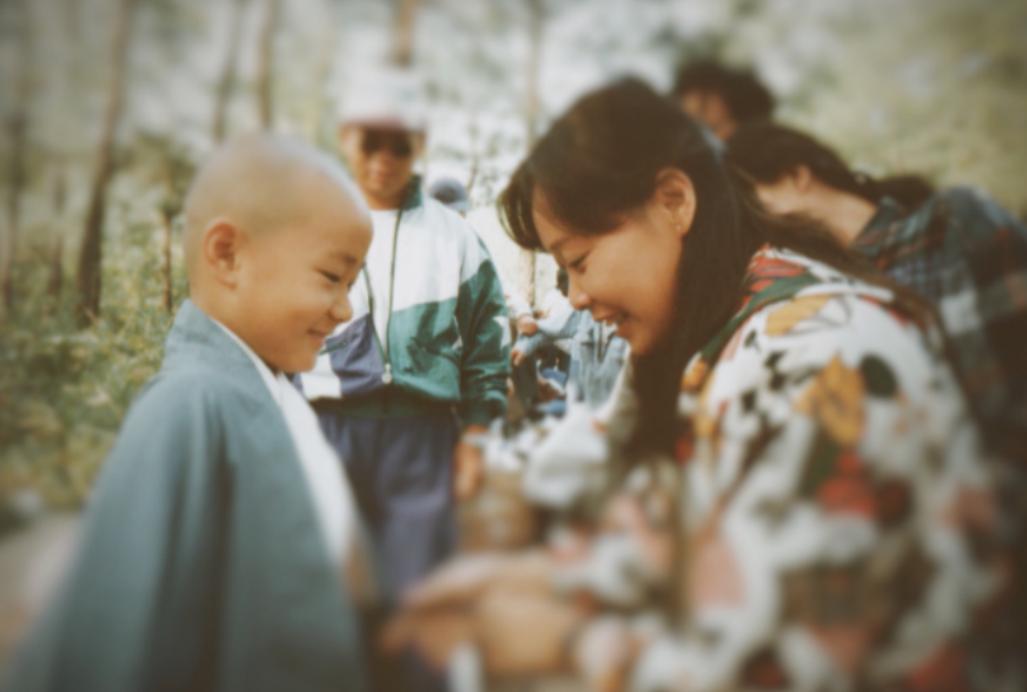 殷桃|“过气童星”复出荧幕，戏份还没“哮天犬”多？谁该为曹骏的“糊”买单？