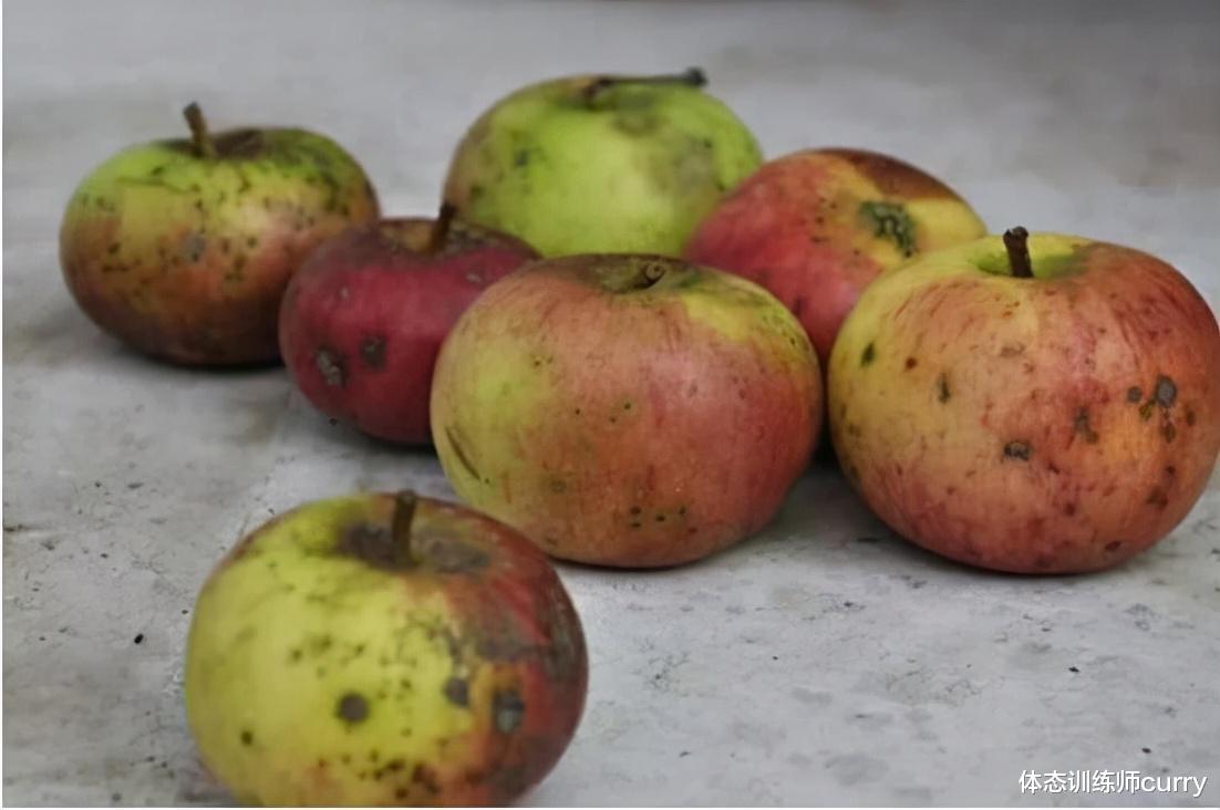 柿子|萝卜是胃病的“加速器”？提醒：冬季养胃，这3种食物要少吃