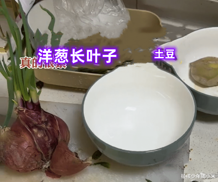 洋葱长叶,餐具长霉!男子出差2个月回家感到心累:老婆从不做家务