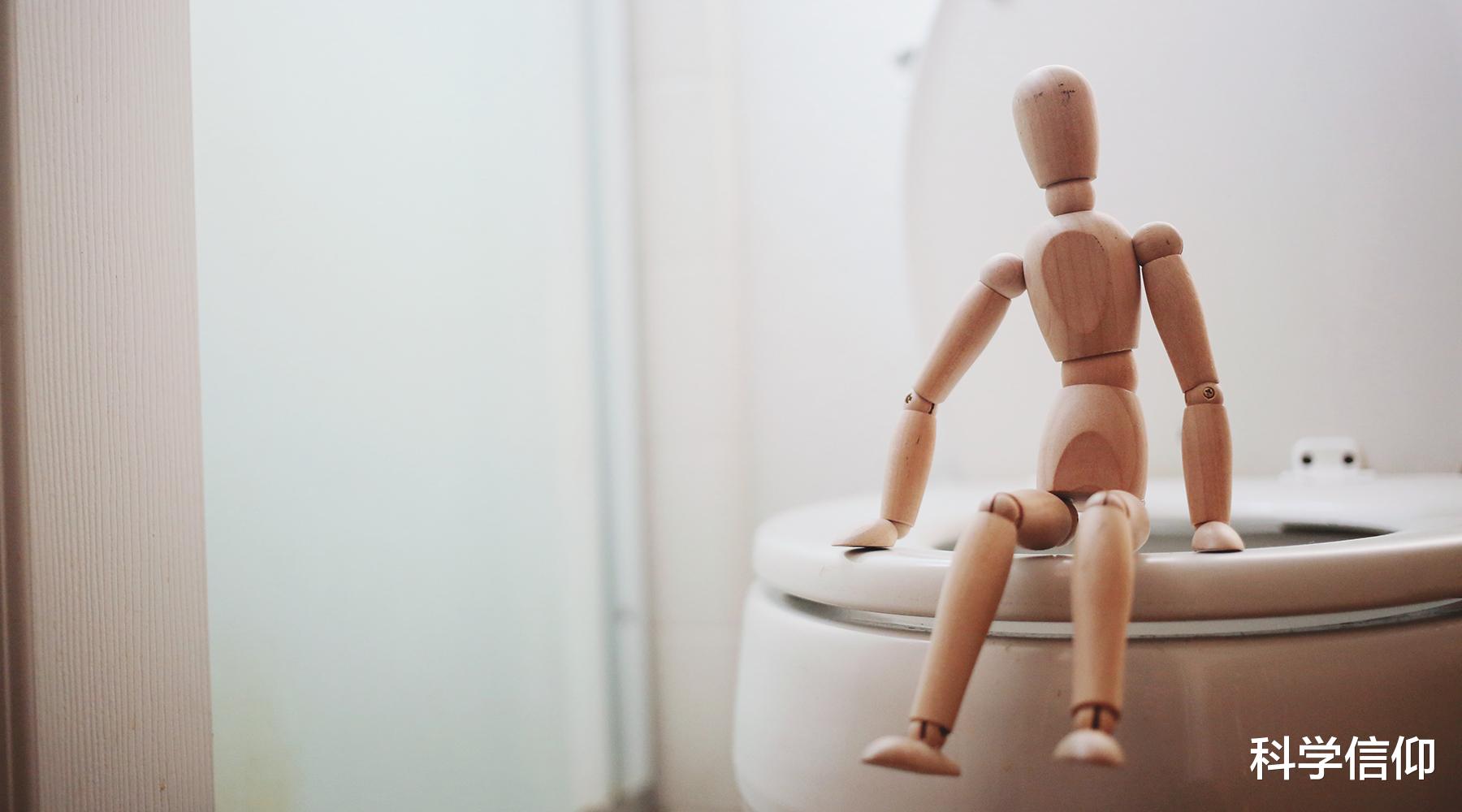 一个月6000万吨,人类排泄物是如何变为清水的?这要从冲水说起
