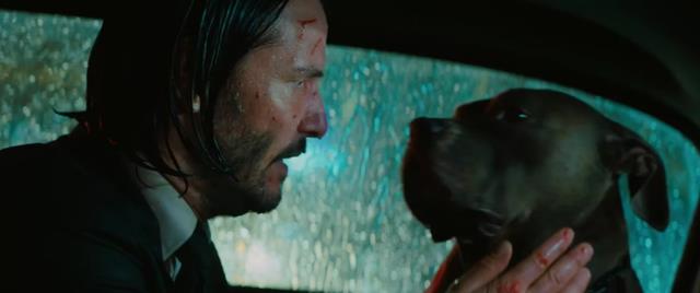 疾速追杀4|心碎的背叛后，《疾速追杀4》温斯顿演员调侃，与约翰威克的关系