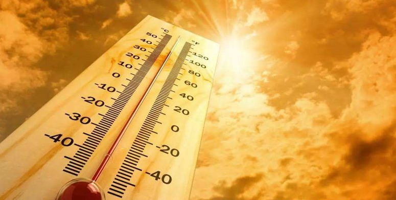 “毒七月”天气湿热消耗大，多吃2白2绿，解暑祛湿，补充体力