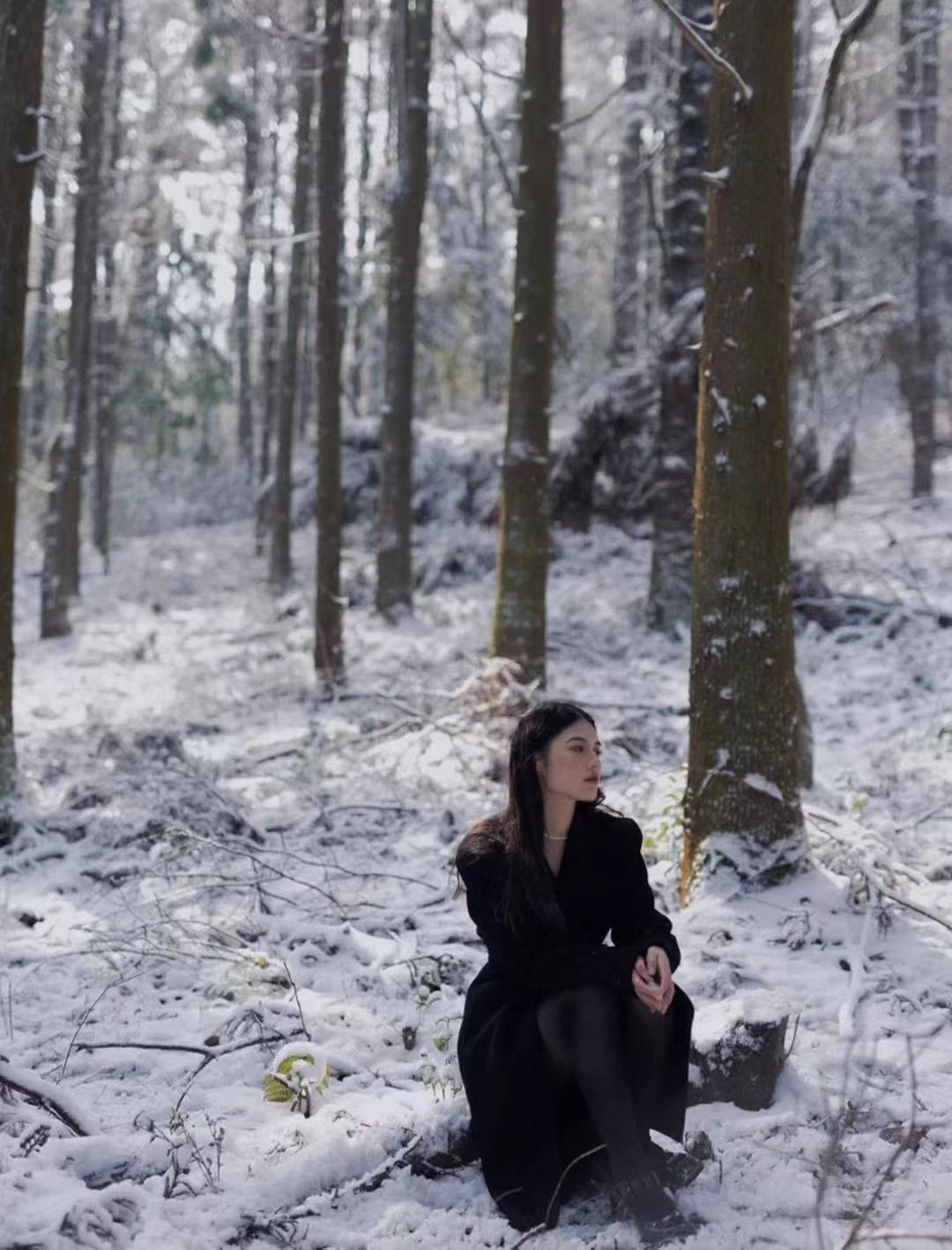 宁波|宁波看雪去哪儿?来看四明山雪的“初秀”,与朋友相约拍大片!