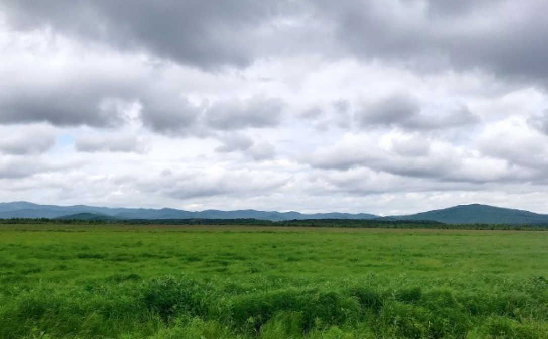 蒙古包|体验一下鸡西这座小城的风光，平凡安逸的美好，总是治愈着人心