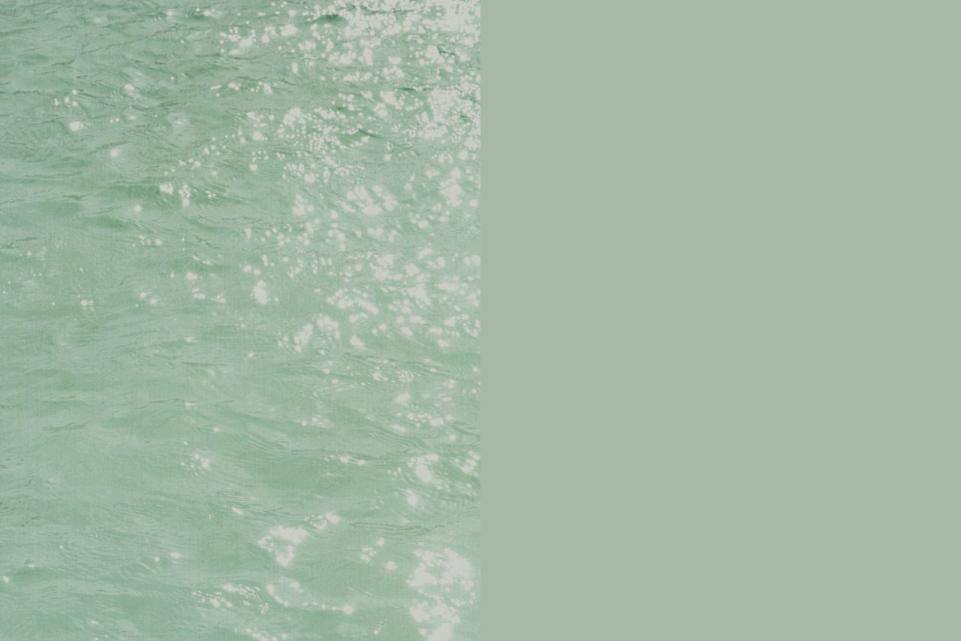 |晴水料和田玉：一捧春水凝珠玉