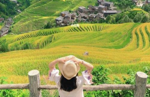 龙脊梯田|龙脊梯田在哪里？位于广西桂林市龙胜县龙脊镇，景色壮观，是个摄影的好地方