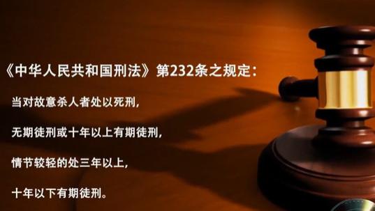 2014年，江苏一吸毒母亲将女儿吊死在鸡棚，面对审判：我怀孕了