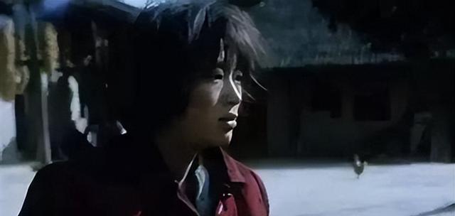 06年山村独居女人被杀,警察追查,凶手却是最不可能的那一个