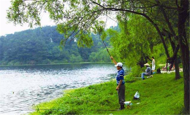 新冠病毒|鱼会不会感染新冠病毒？对我们钓鱼人有威胁吗？听听专家怎么说