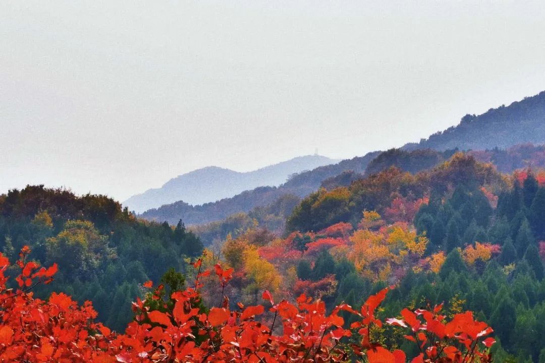 香山|秋季登高，望壮阔天地～