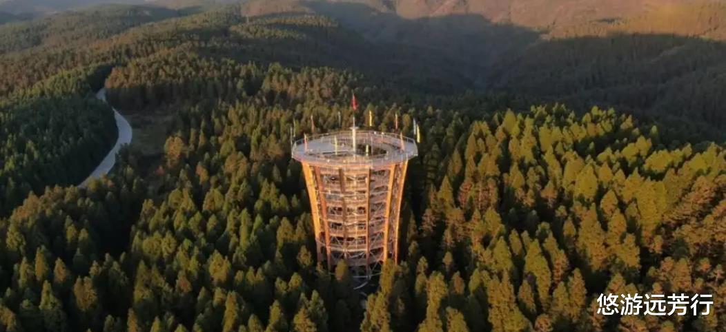仙女山|为什么重庆大部分人夏季露营首选仙女山 原来是这5个理由