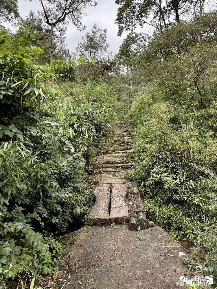 温州|温州这个地方走过的人很多,但知道透天洞的很少!