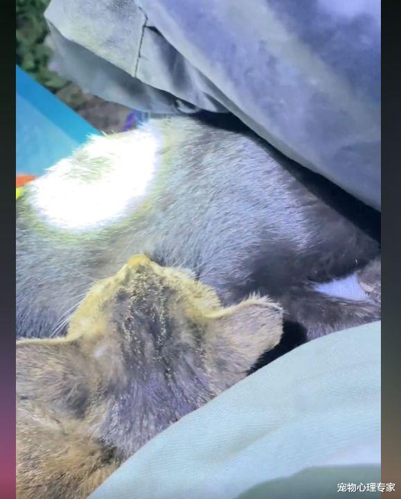 |男子夜钓时感觉有“东西”扒拉自己,低头一看:哪里来的小可爱?