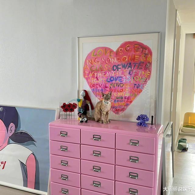 宋妍霏|26岁宋妍霏晒出在上海的家,全屋不豪华却胜过豪华,网友:好羡慕