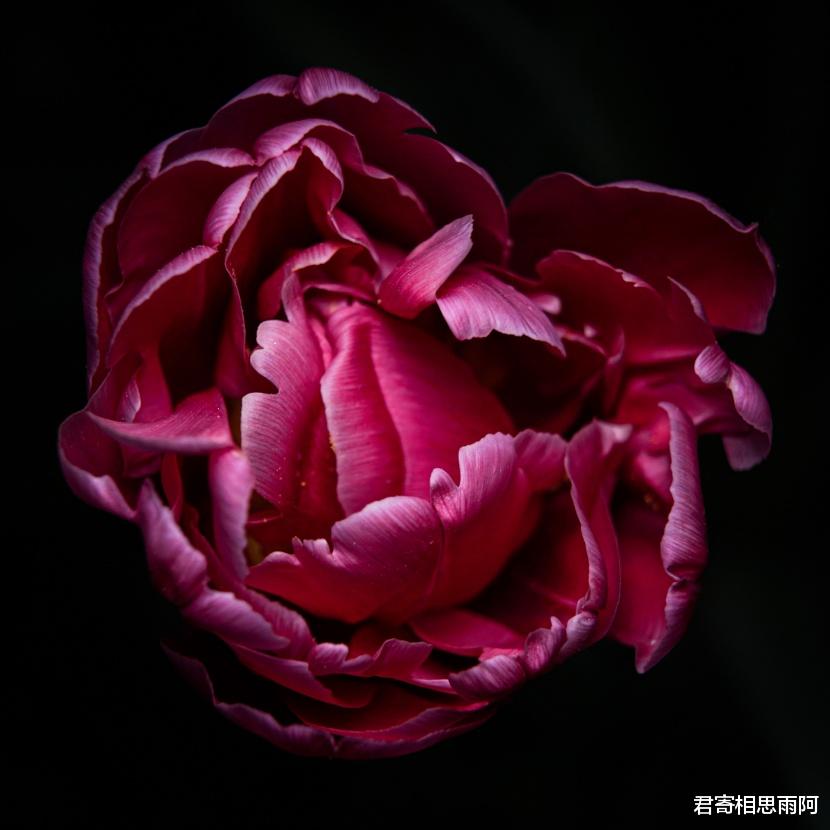 星座爱情观|这些星座，总会遇到生命中的意外