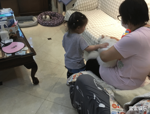 郭碧婷|郭碧婷二胎回娘家生,爸爸给向佐做面包吃,2岁女儿还用安抚奶嘴