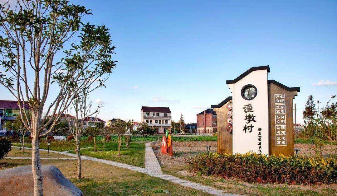浙江一钉子户住5层“片片楼”，吹强台风也不搬，3年后却主动要走