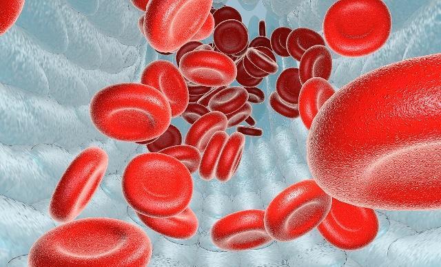 失眠|哈佛报：长寿的人，多半身上都会有这7种特征，值得花一分钟看看