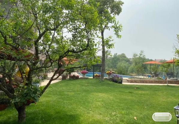 范明|国家一级演员范明,娶大6岁二婚富婆恩爱23年,继子是他的骄傲