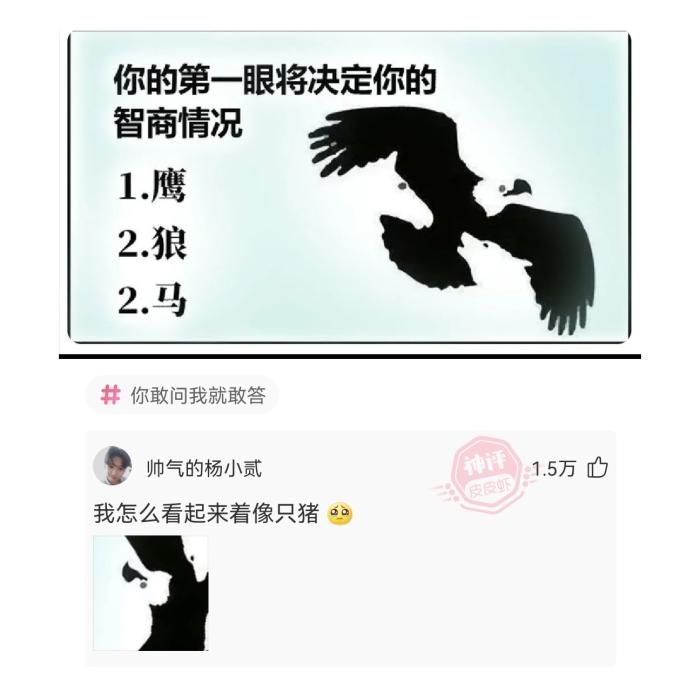 轻松一刻：人生苦短，何妨一试。