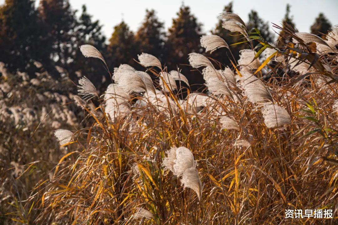 洞庭西山|叮咚!来自苏州太湖西山岛的初冬绝美壁纸来袭~
