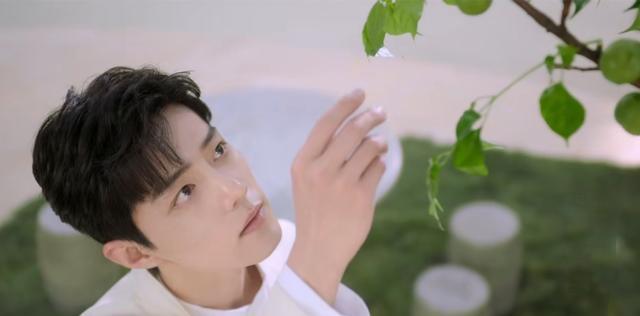 杨幂|“民国风”的肖战，与中国青梅也是绝配！