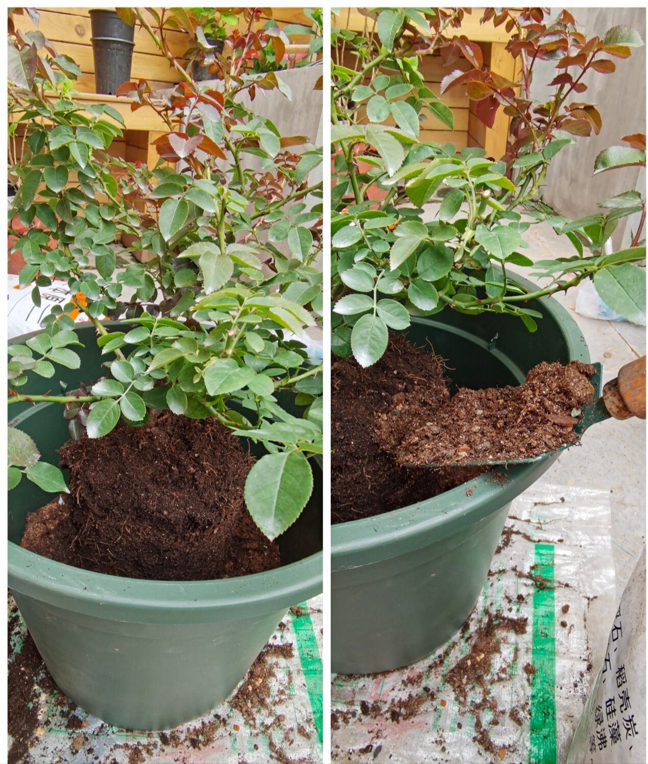 35㎡楼顶露台,亲手打造空中小花园,这才是顶楼的正确打开方式