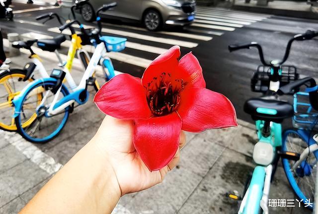 张国荣|寻访香港演艺界巨星张国荣在广州的足迹，粉丝：风继续吹，仍怀念