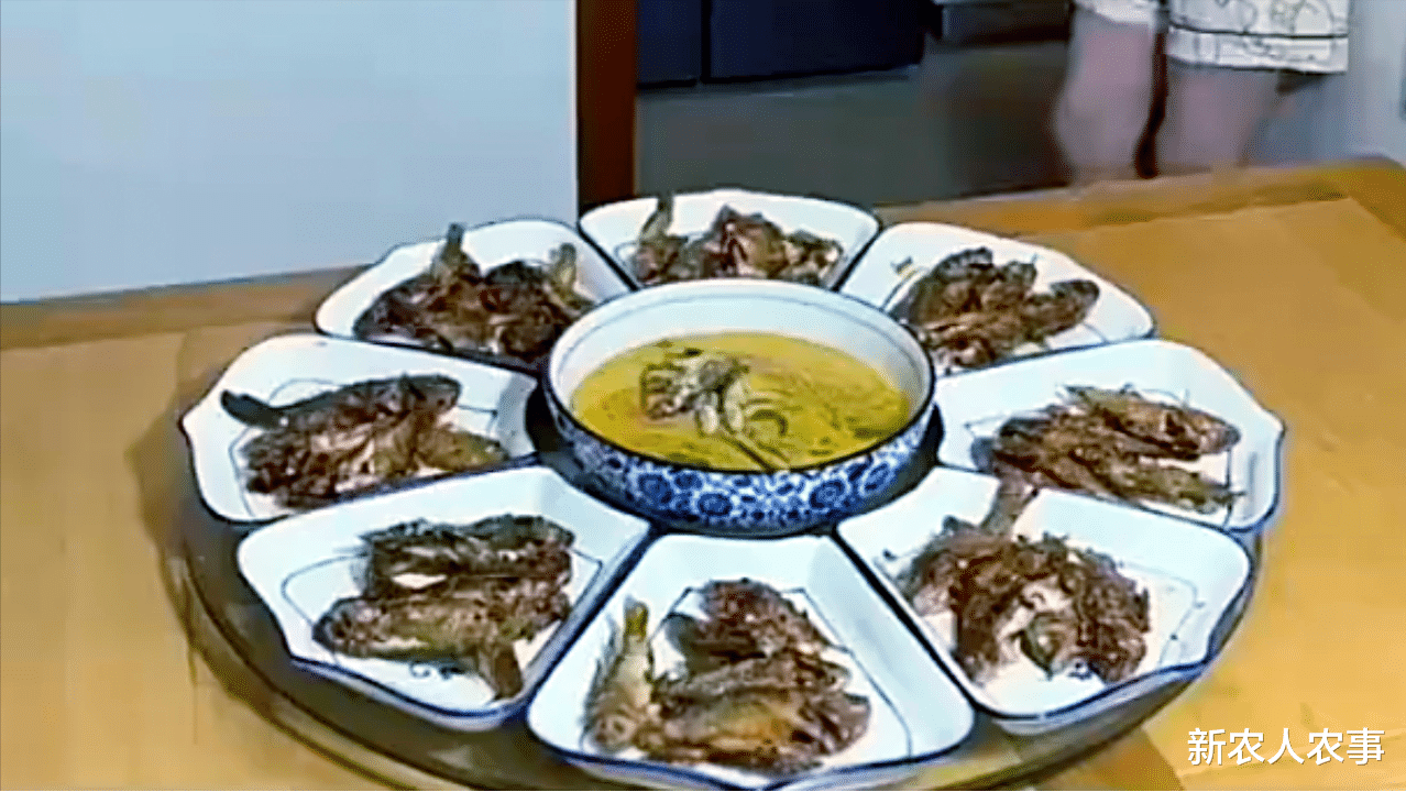 制服|男子沉迷于钓鱼不顾家,媳妇只用一招就将其制服,网友:这主意好