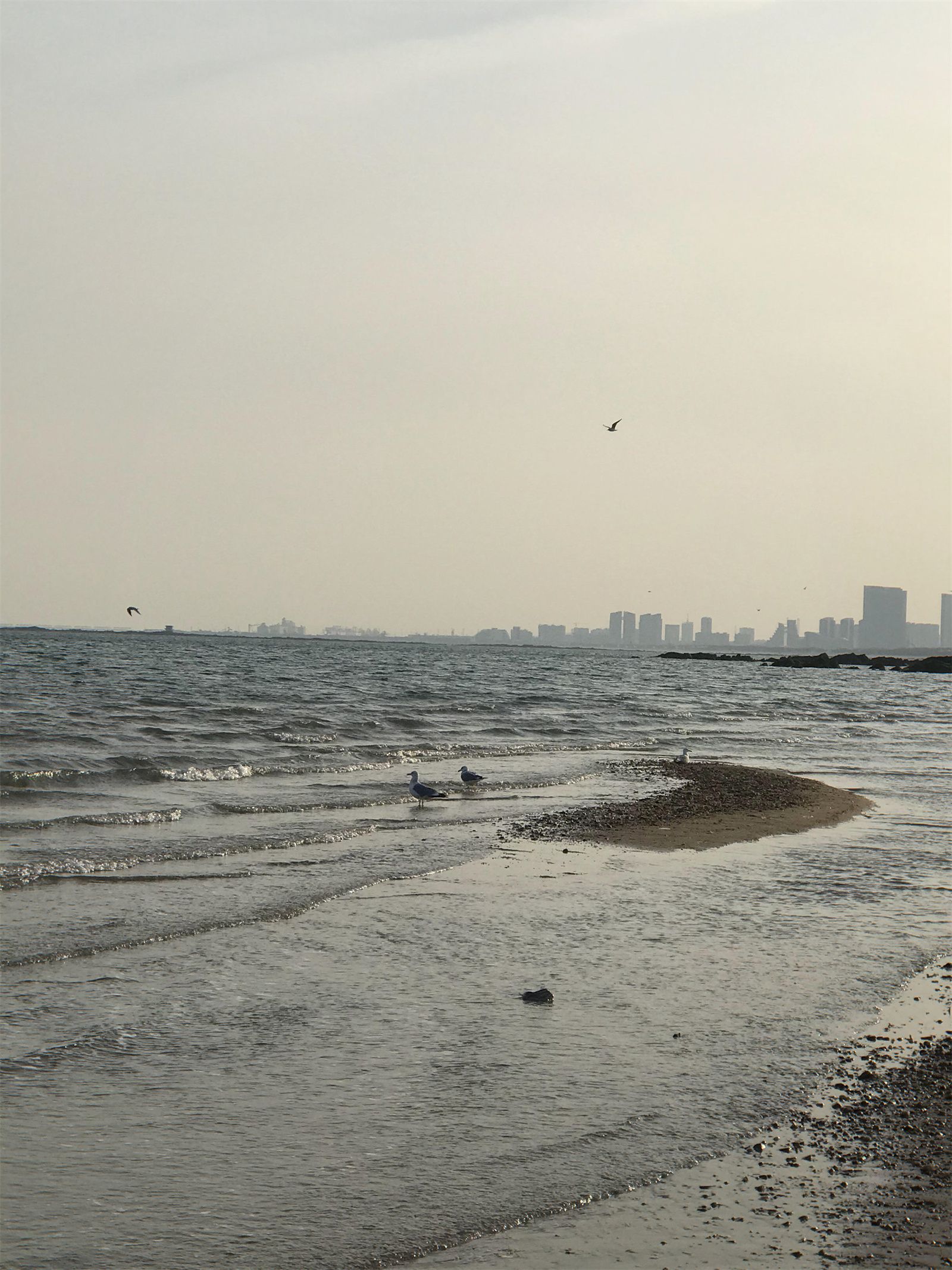 保山|日照旅游，一座给我惊艳的临海小城