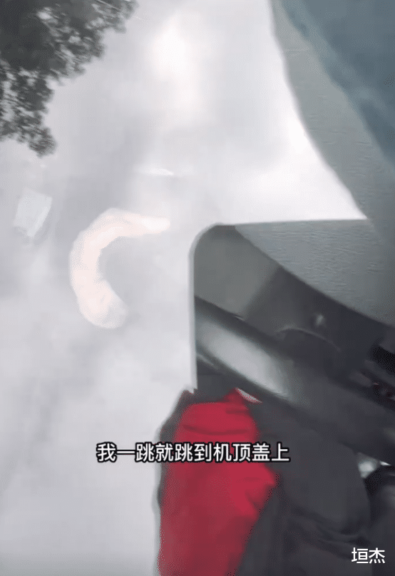 王东|2天7个瓜，婆婆赶出门，公公开车撞，被曝当小三多年，个个不简单