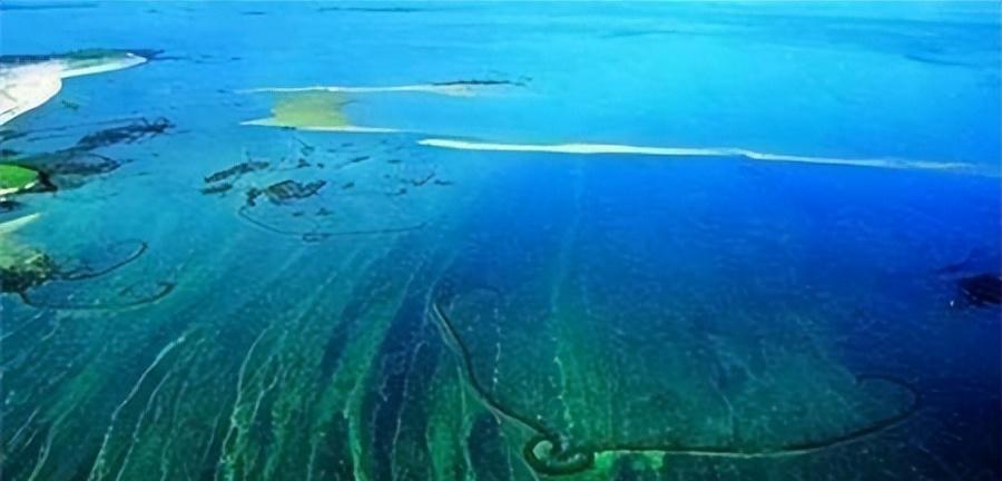 洪泽湖湿地|世界上最为神秘的海——看似平静无波澜，却让无数人在此“丧命”