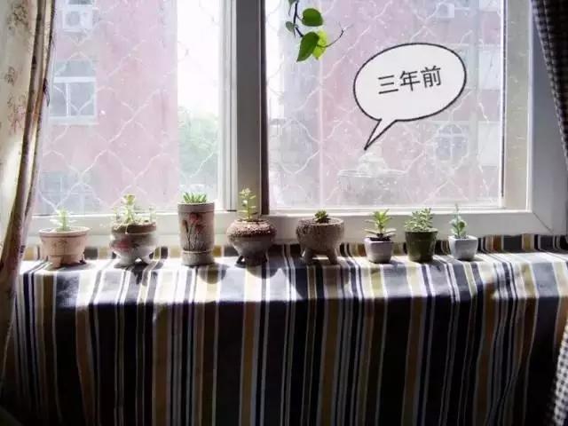 惊艳！美女仅花3500块，打造的出租屋竟媲美咖啡厅！