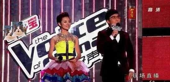 浙江卫视|浙江卫视主持人现状:工作少、口碑跌、存在感低,集体竞争力下降