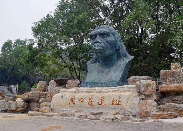 首个中国人从哪儿来？我们的祖先是本土猿人吗？揭秘中国人起源