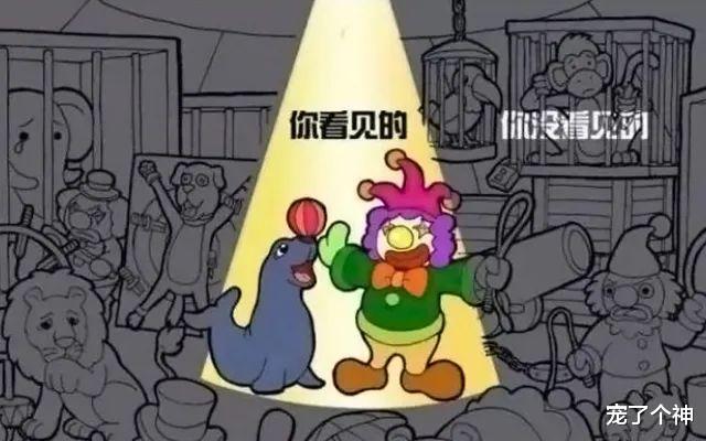 因动物过于忧郁,动物园被指虐待动物,结果反转令人心酸!