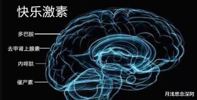 动物不了解繁衍的意义,却保持着两性行为,是谁在背后操控?
