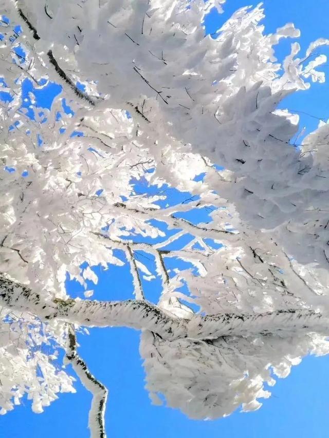 莽山|广州出发去韶关，一路上会有什么景区呢？