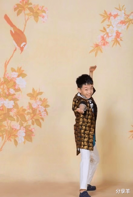 爸爸去哪儿|爸爸去哪儿系列26个娃，你还记得哪个？