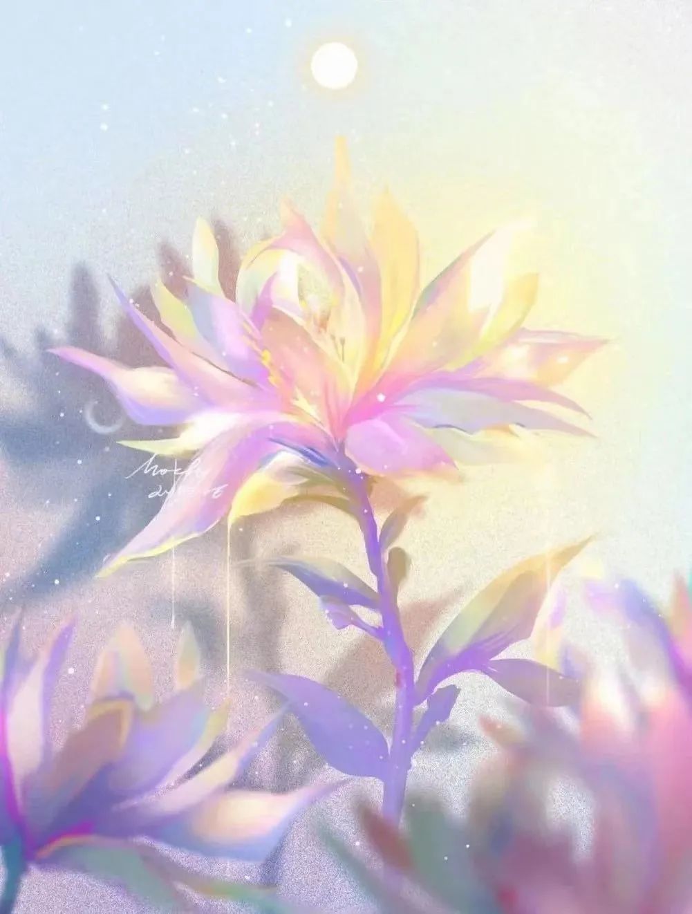 宁静|宁静,来自你像灵魂一般地爱