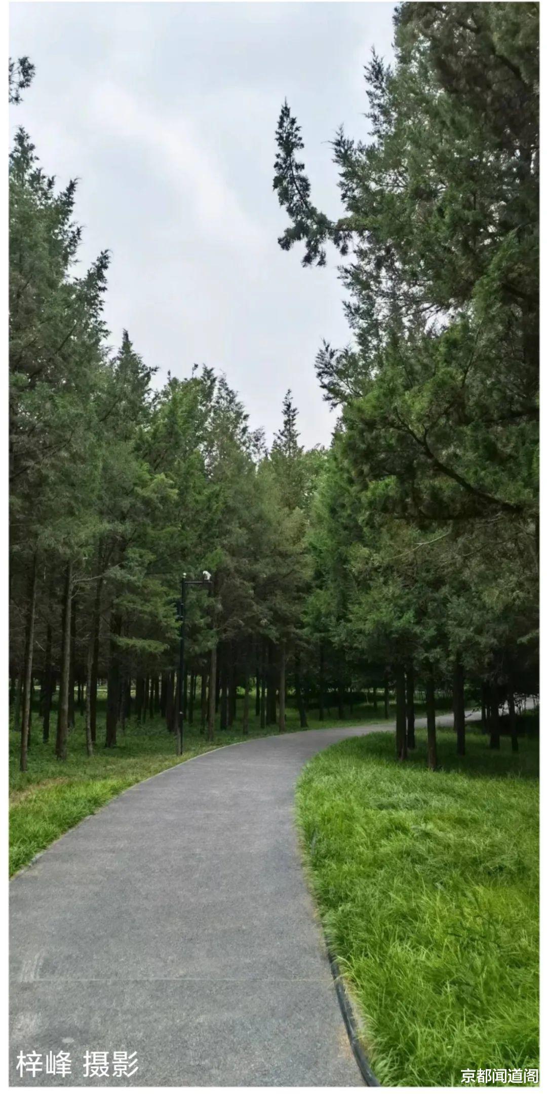 北京市|摄影配诗：京城北坞游园